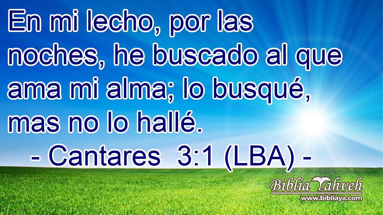En mi lecho, por las noches, he buscado al que ama mi alma; lo busqué, mas no lo hallé.