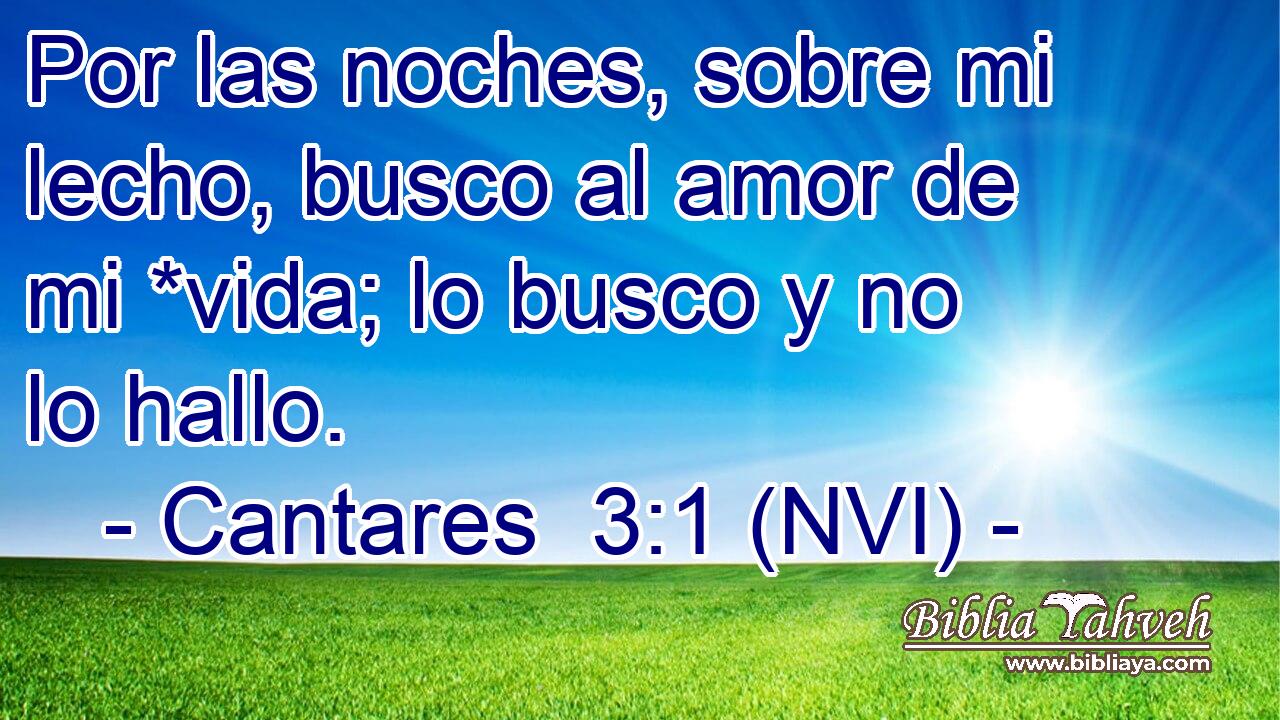  Por las noches, sobre mi lecho, busco al amor de mi *vida; lo busco y no lo hallo. 