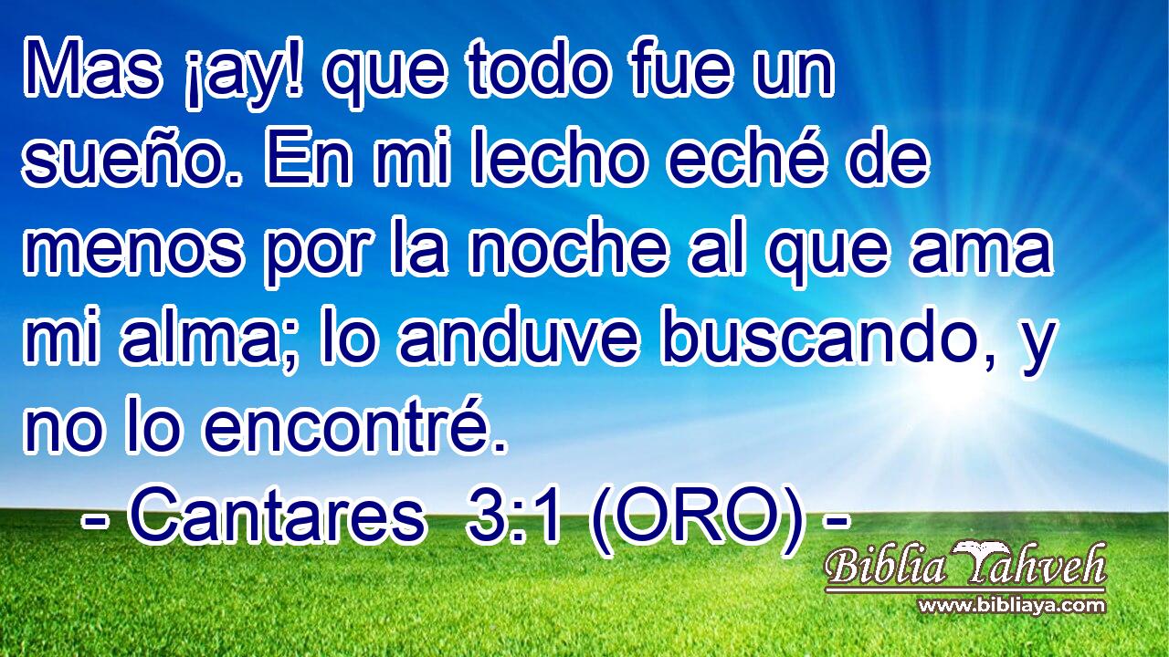  Mas ¡ay! que todo fue un sueño. En mi lecho eché de menos por la noche al que ama mi alma; lo anduve buscando, y no lo encontré. 