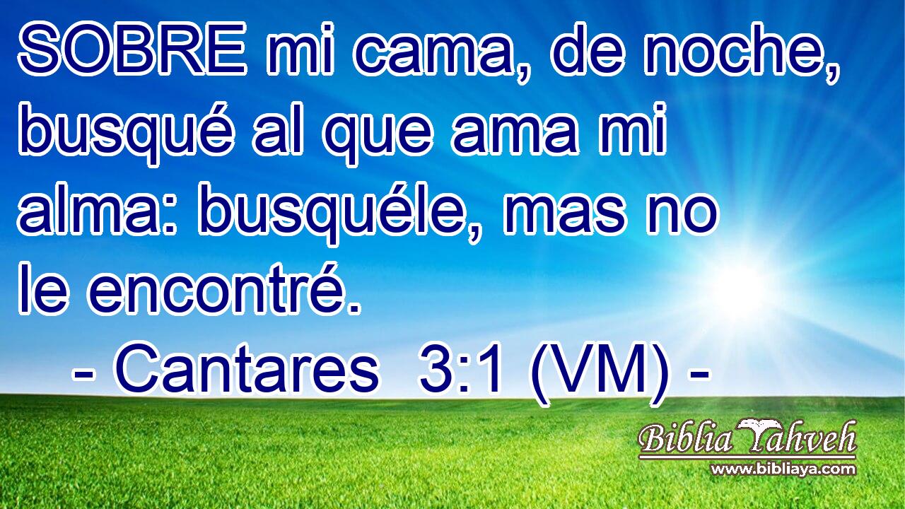  SOBRE mi cama, de noche, busqué al que ama mi alma: busquéle, mas no le encontré. 
