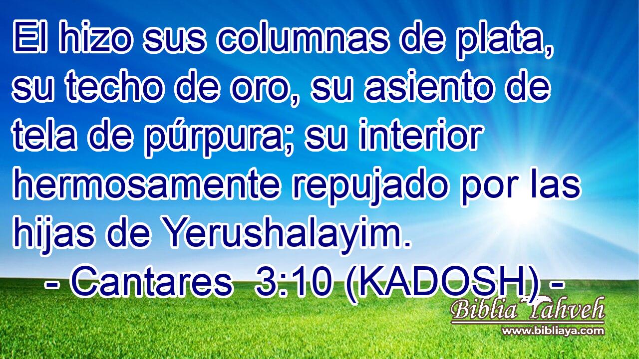  El hizo sus columnas de plata, su techo de oro, su asiento de tela de púrpura; su interior hermosamente repujado por las hijas de Yerushalayim. 