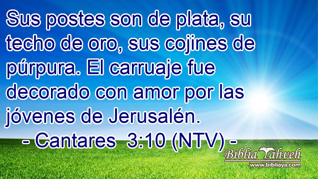 Sus postes son de plata, su techo de oro, sus cojines de púrpura. El carruaje fue decorado con amor por las jóvenes de Jerusalén.