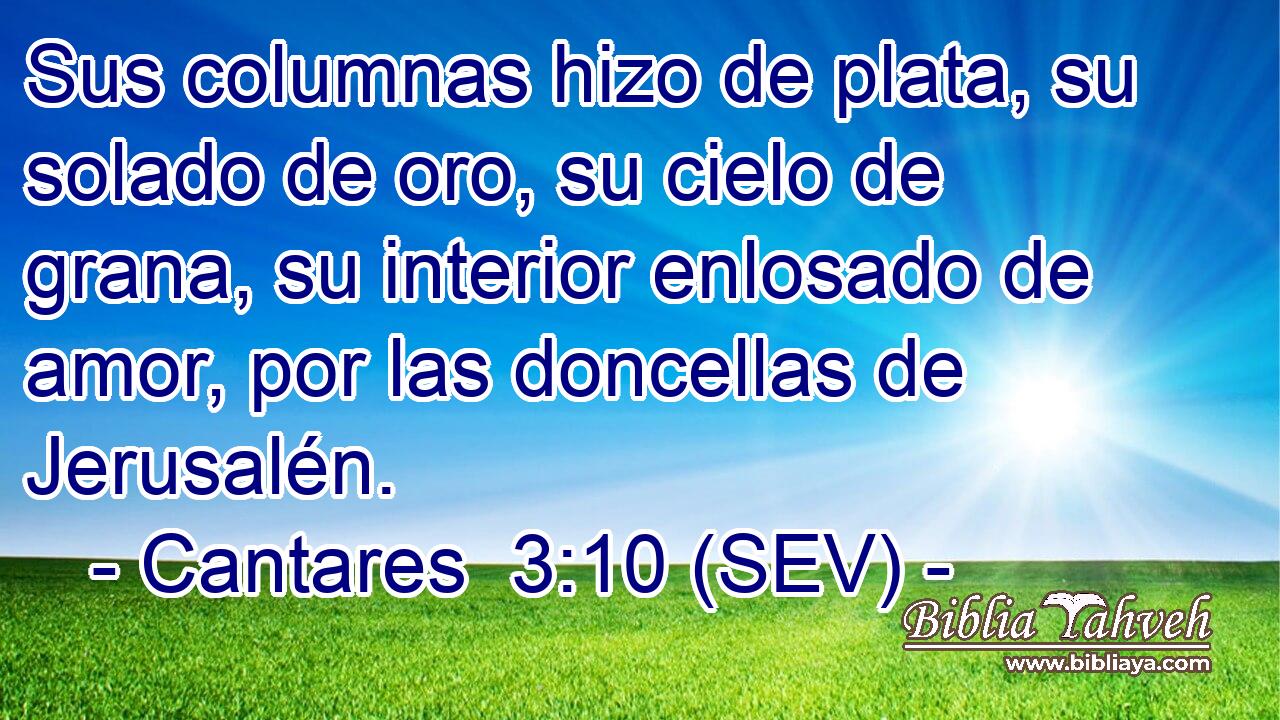 Sus columnas hizo de plata, su solado de oro, su cielo de grana, su interior enlosado de amor, por las doncellas de Jerusalén.