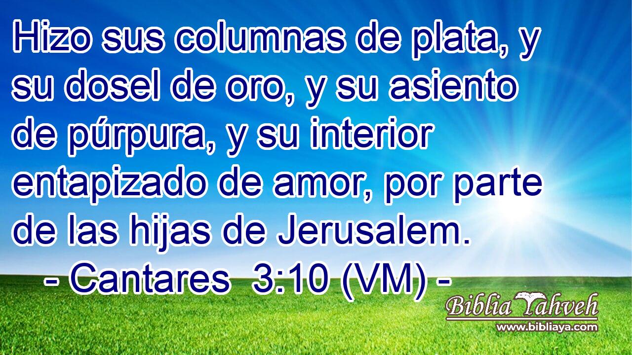  Hizo sus columnas de plata, y su dosel de oro, y su asiento de púrpura, y su interior entapizado de amor, por parte de las hijas de Jerusalem. 