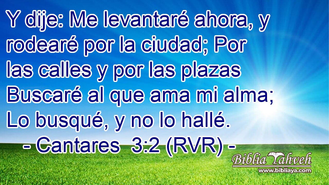 Y dije: Me levantaré ahora, y rodearé por la ciudad; Por las calles y por las plazas Buscaré al que ama mi alma; Lo busqué, y no lo hallé.