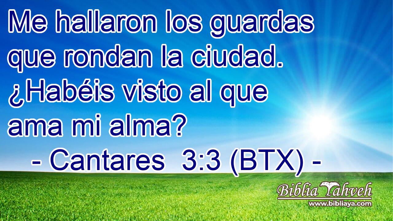 Me hallaron los guardas que rondan la ciudad. ¿Habéis visto al que ama mi alma?