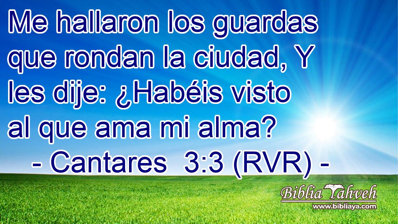 Me hallaron los guardas que rondan la ciudad, Y les dije: ¿Habéis visto al que ama mi alma?