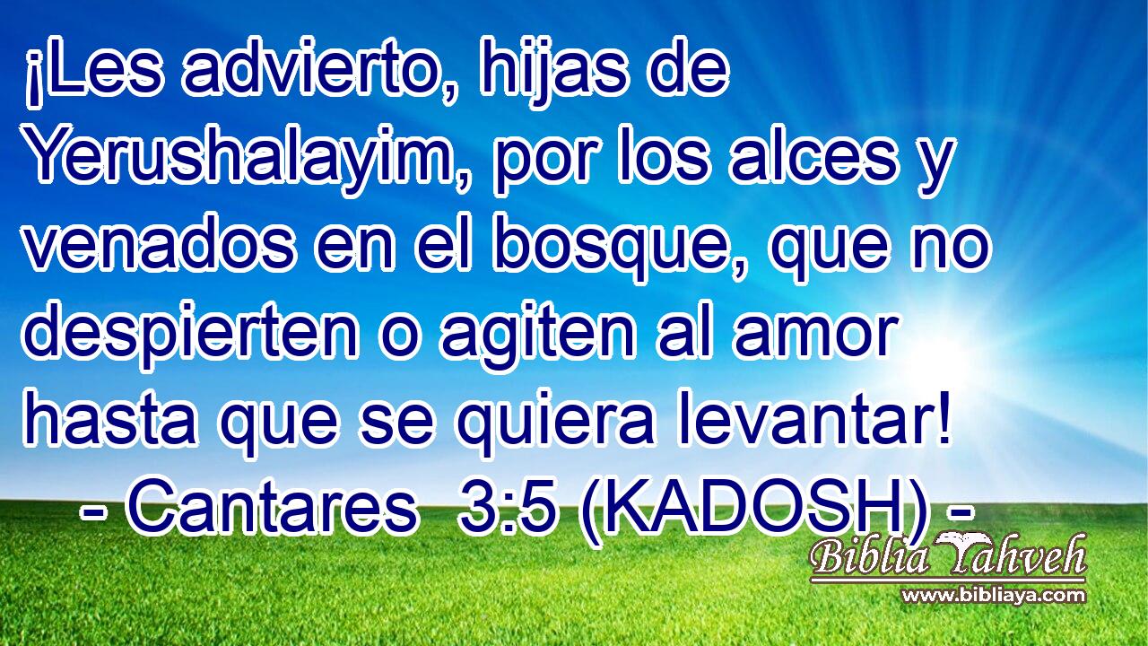  ¡Les advierto, hijas de Yerushalayim, por los alces y venados en el bosque, que no despierten o agiten al amor hasta que se quiera levantar! 