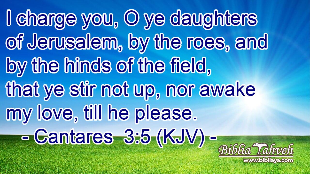 I charge you, O ye daughters of Jerusalem, by the roes, and by the hinds of the field, that ye stir not up, nor awake my love, till he please.