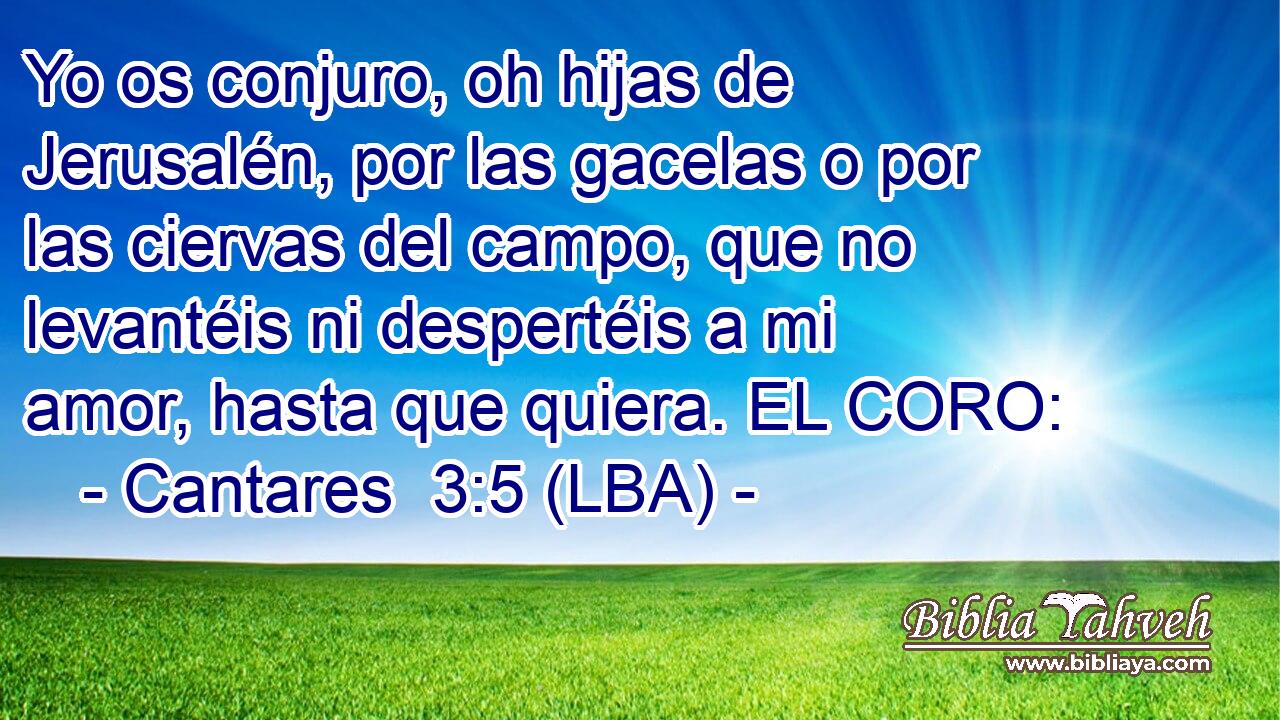 Yo os conjuro, oh hijas de Jerusalén, por las gacelas o por las ciervas del campo, que no levantéis ni despertéis a mi amor, hasta que quiera. EL CORO: