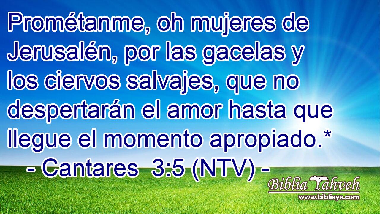 Prométanme, oh mujeres de Jerusalén, por las gacelas y los ciervos salvajes, que no despertarán el amor hasta que llegue el momento apropiado.*