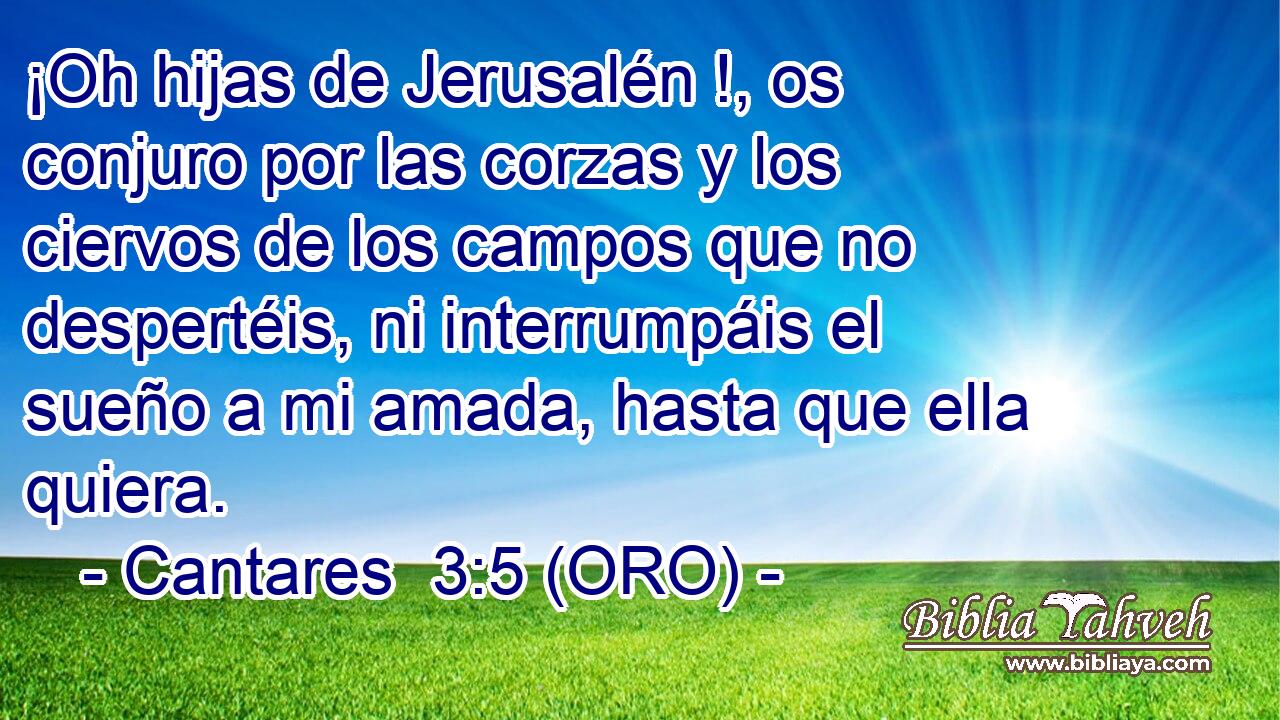  ¡Oh hijas de Jerusalén !, os conjuro por las corzas y los ciervos de los campos que no despertéis, ni interrumpáis el sueño a mi amada, hasta que ella quiera. 