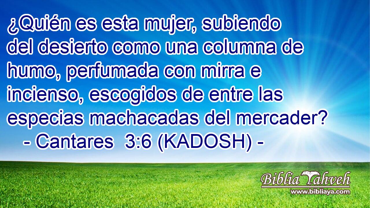  ¿Quién es esta mujer, subiendo del desierto como una columna de humo, perfumada con mirra e incienso, escogidos de entre las especias machacadas del mercader? 