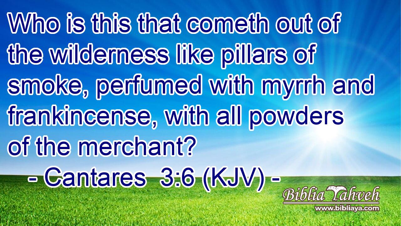 Who is this that cometh out of the wilderness like pillars of smoke, perfumed with myrrh and frankincense, with all powders of the merchant?