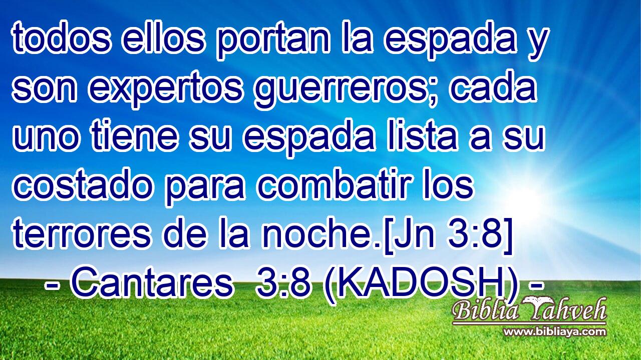  todos ellos portan la espada y son expertos guerreros; cada uno tiene su espada lista a su costado para combatir los terrores de la noche.[Jn 3:8] 