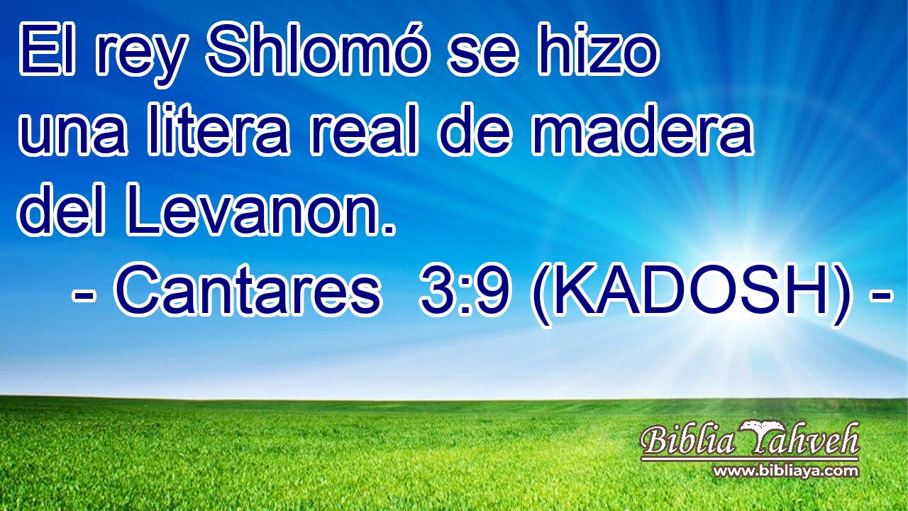  El rey Shlomó se hizo una litera real de madera del Levanon. 