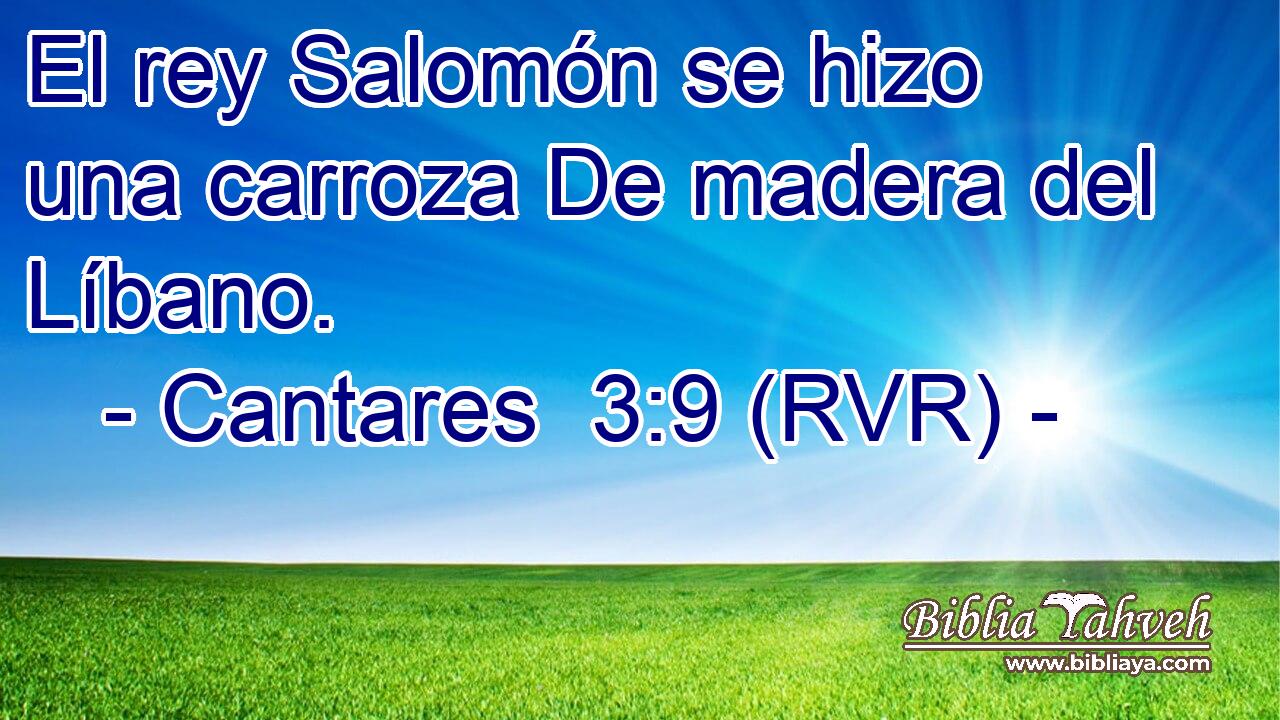 El rey Salomón se hizo una carroza De madera del Líbano.