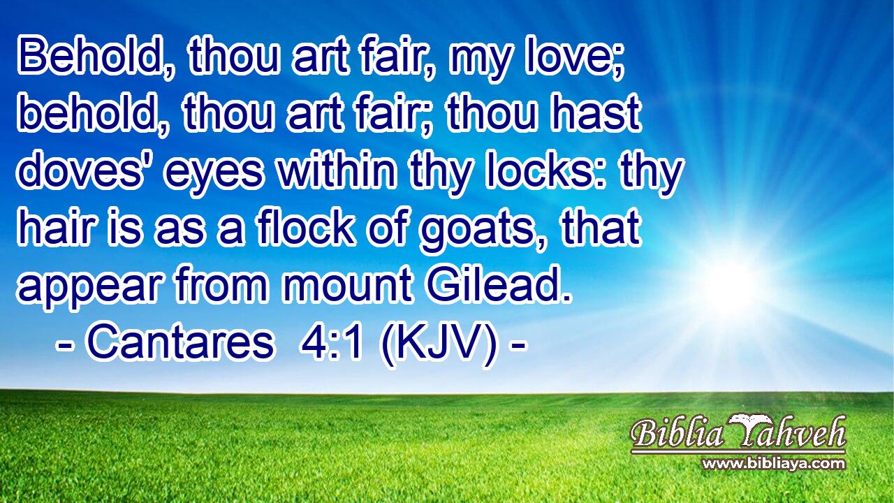 Behold, thou art fair, my love; behold, thou art fair; thou hast doves' eyes within thy locks: thy hair is as a flock of goats, that appear from mount Gilead.