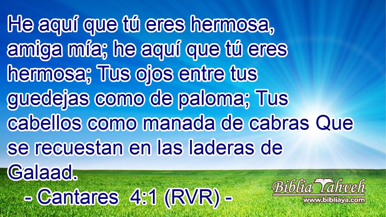 He aquí que tú eres hermosa, amiga mía; he aquí que tú eres hermosa; Tus ojos entre tus guedejas como de paloma; Tus cabellos como manada de cabras Que se recuestan en las laderas de Galaad.