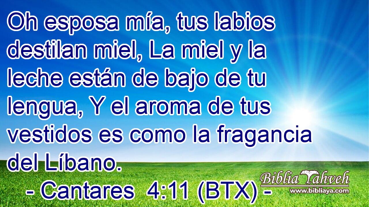 Oh esposa mía, tus labios destilan miel, La miel y la leche están de bajo de tu lengua, Y el aroma de tus vestidos es como la fragancia del Líbano.