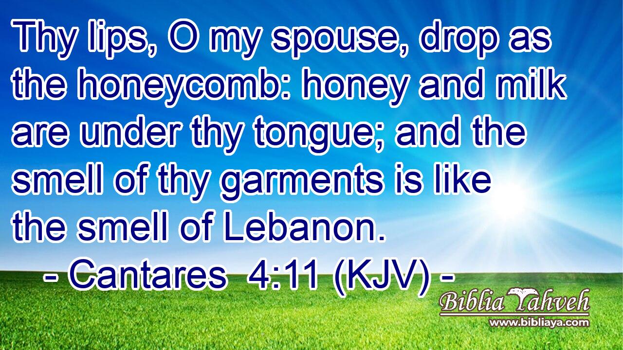 Thy lips, O my spouse, drop as the honeycomb: honey and milk are under thy tongue; and the smell of thy garments is like the smell of Lebanon.