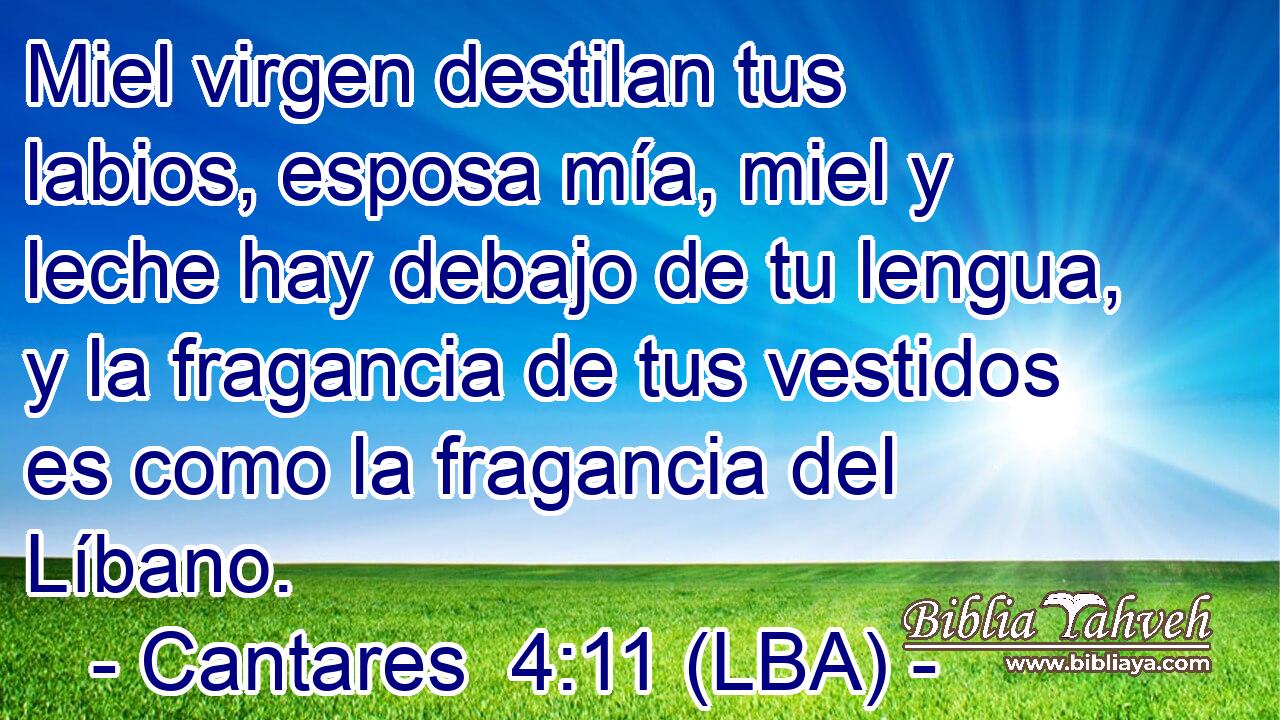 Miel virgen destilan tus labios, esposa mía, miel y leche hay debajo de tu lengua, y la fragancia de tus vestidos es como la fragancia del Líbano.