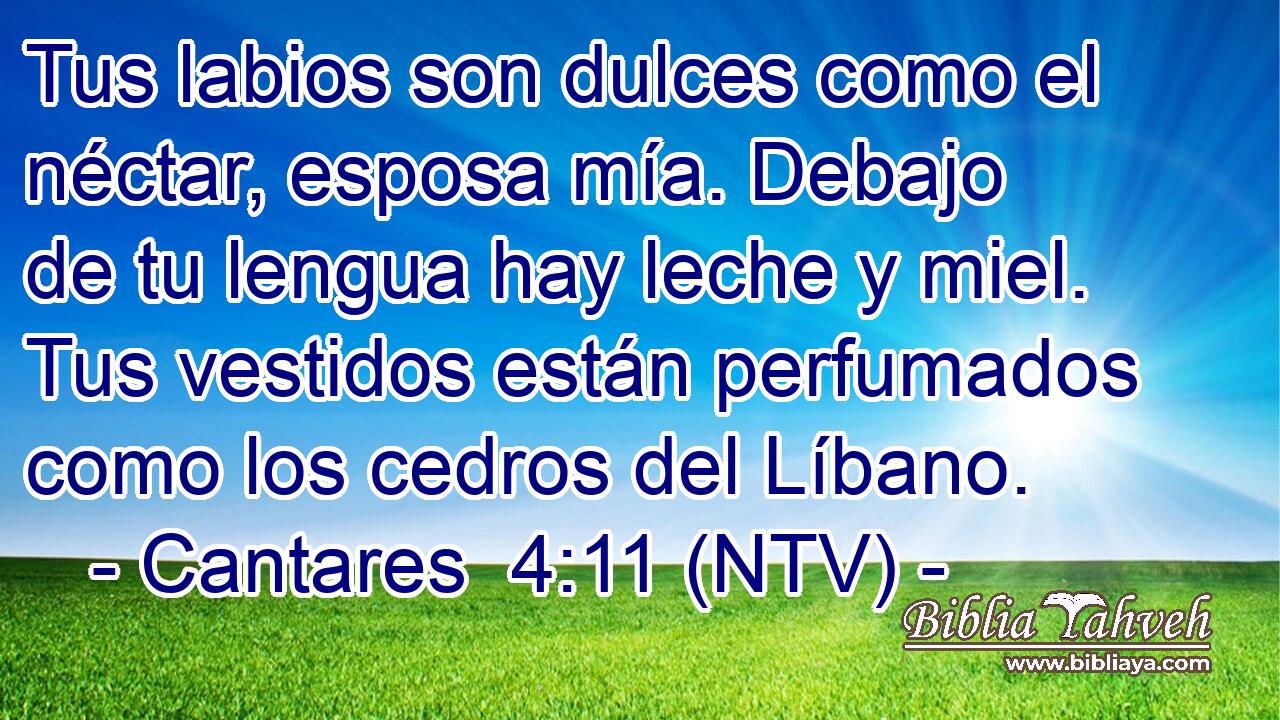 Tus labios son dulces como el néctar, esposa mía. Debajo de tu lengua hay leche y miel. Tus vestidos están perfumados como los cedros del Líbano.