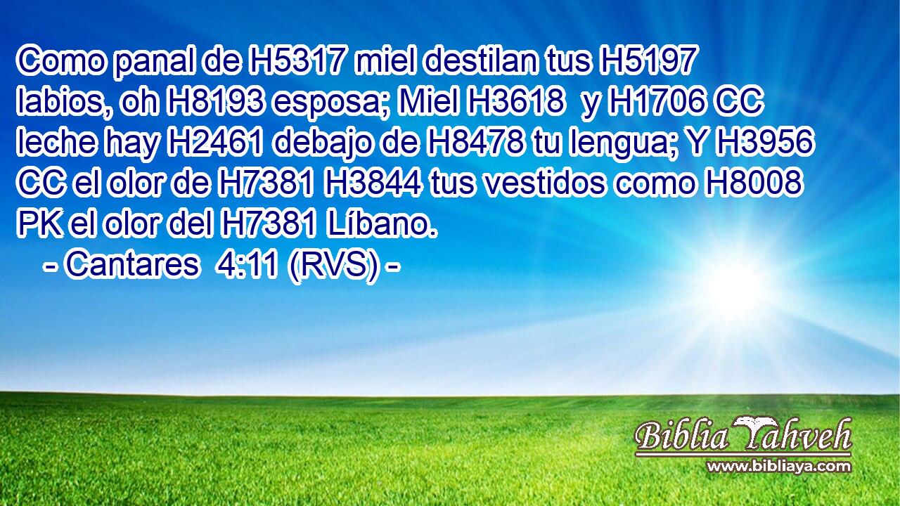 Como panal de H5317 miel destilan tus H5197  labios, oh H8193 esposa; Miel H3618  y H1706 CC leche hay H2461 debajo de H8478 tu lengua; Y H3956 CC el olor de H7381 H3844 tus vestidos como H8008 PK el olor del H7381 Líbano. 