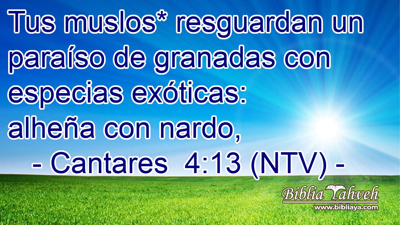 Tus muslos* resguardan un paraíso de granadas con especias exóticas: alheña con nardo,