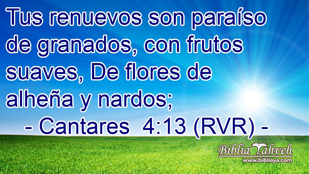 Tus renuevos son paraíso de granados, con frutos suaves, De flores de alheña y nardos;