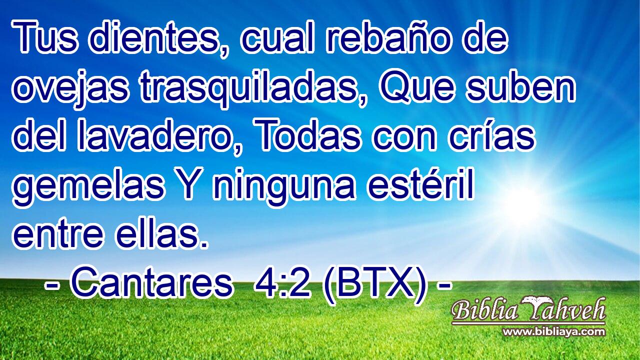 Tus dientes, cual rebaño de ovejas trasquiladas, Que suben del lavadero, Todas con crías gemelas Y ninguna estéril entre ellas.