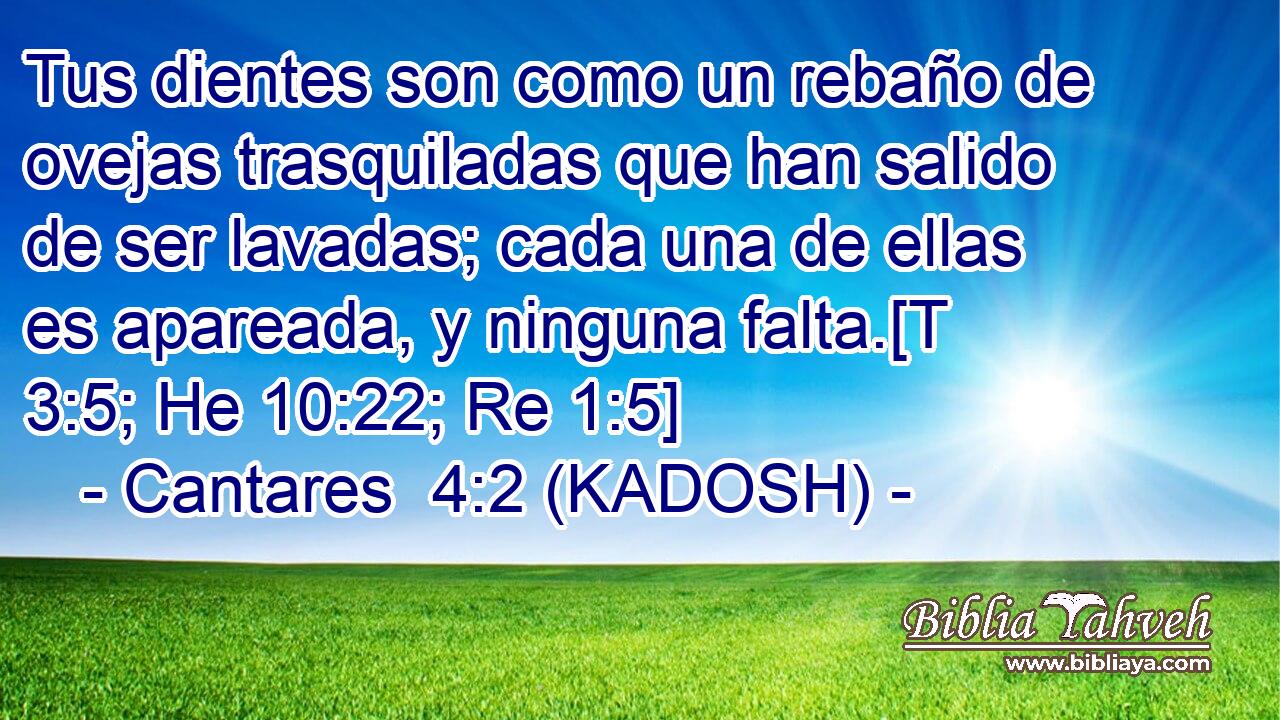  Tus dientes son como un rebaño de ovejas trasquiladas que han salido de ser lavadas; cada una de ellas es apareada, y ninguna falta.[T 3:5; He 10:22; Re 1:5] 