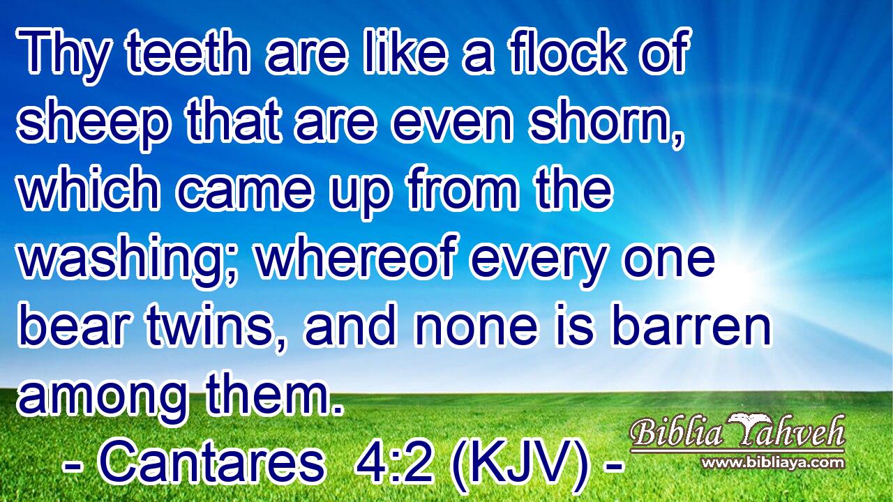 Thy teeth are like a flock of sheep that are even shorn, which came up from the washing; whereof every one bear twins, and none is barren among them.