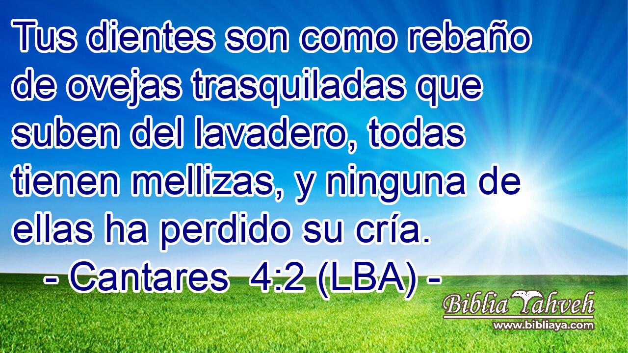 Tus dientes son como rebaño de ovejas trasquiladas que suben del lavadero, todas tienen mellizas, y ninguna de ellas ha perdido su cría.