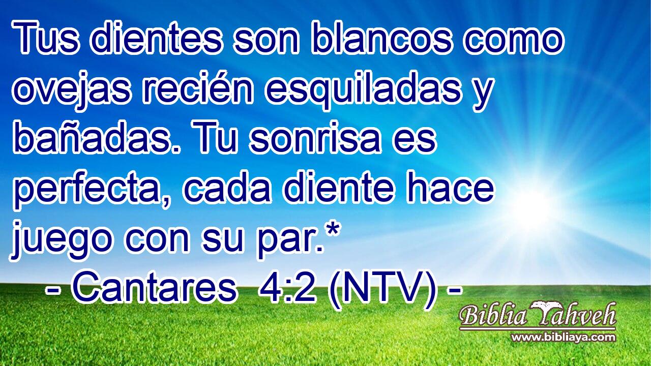 Tus dientes son blancos como ovejas recién esquiladas y bañadas. Tu sonrisa es perfecta, cada diente hace juego con su par.*