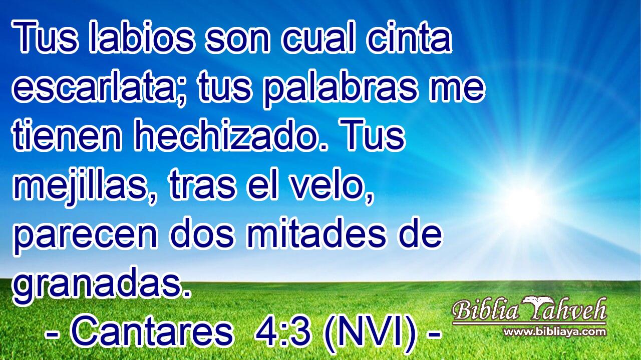 Tus labios son cual cinta escarlata; tus palabras me tienen hechizado. Tus mejillas, tras el velo, parecen dos mitades de granadas. 
