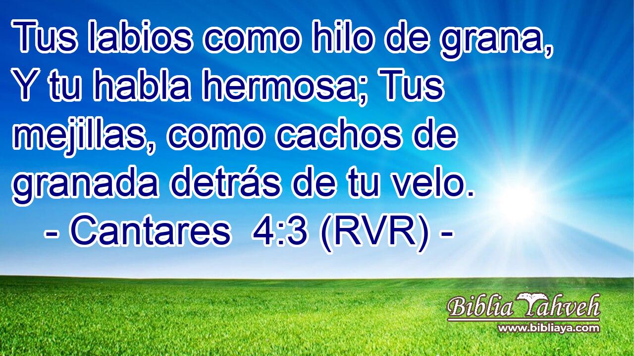 Tus labios como hilo de grana, Y tu habla hermosa; Tus mejillas, como cachos de granada detrás de tu velo.