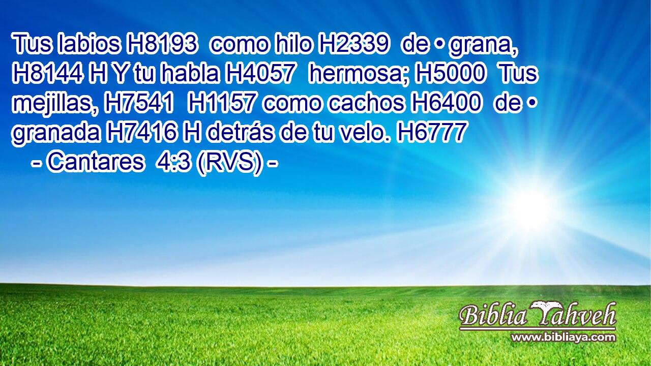 Tus labios H8193  como hilo H2339  de • grana, H8144 H Y tu habla H4057  hermosa; H5000  Tus mejillas, H7541  H1157 como cachos H6400  de • granada H7416 H detrás de tu velo. H6777  