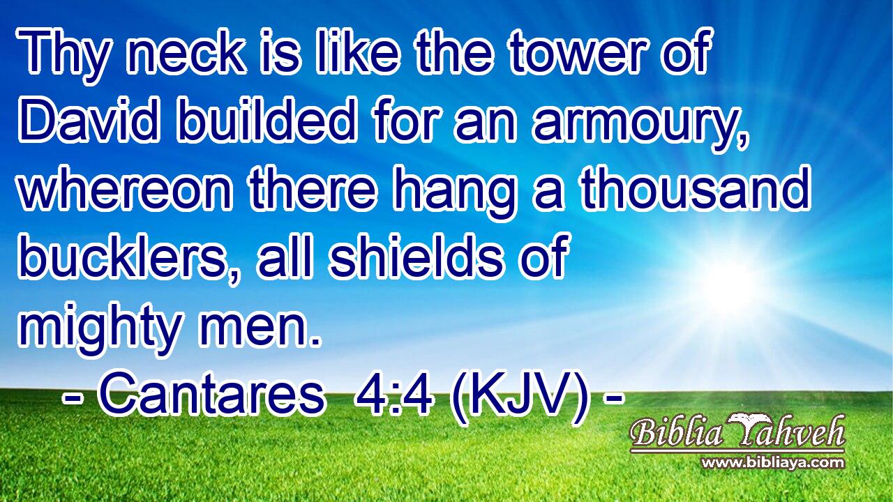 Thy neck is like the tower of David builded for an armoury, whereon there hang a thousand bucklers, all shields of mighty men.