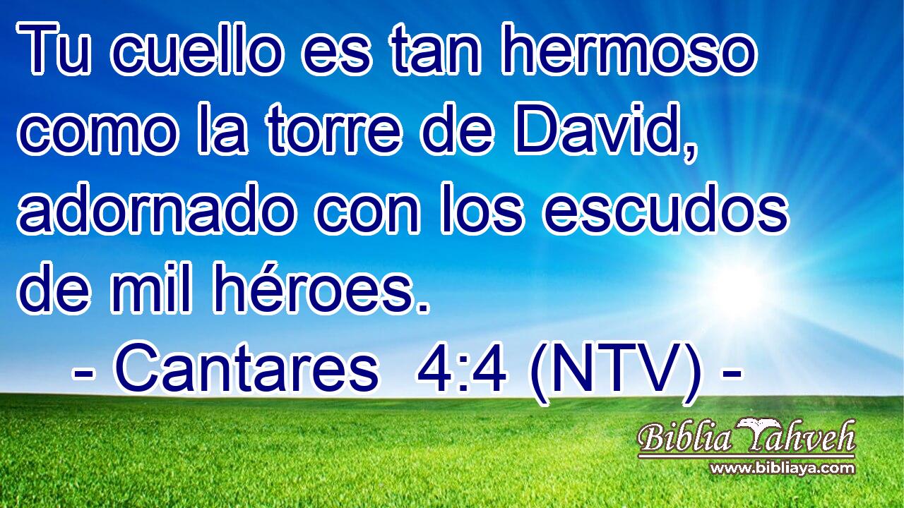 Tu cuello es tan hermoso como la torre de David, adornado con los escudos de mil héroes.