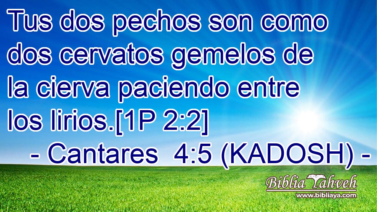  Tus dos pechos son como dos cervatos gemelos de la cierva paciendo entre los lirios.[1P 2:2] 