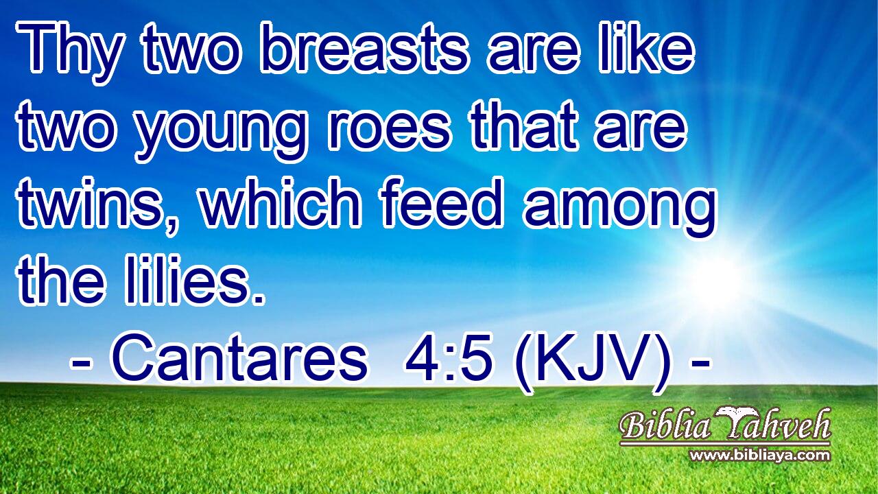 Thy two breasts are like two young roes that are twins, which feed among the lilies.
