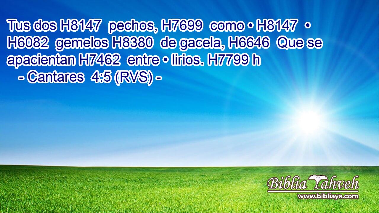 Tus dos H8147  pechos, H7699  como • H8147  • H6082  gemelos H8380  de gacela, H6646  Que se apacientan H7462  entre • lirios. H7799 h 