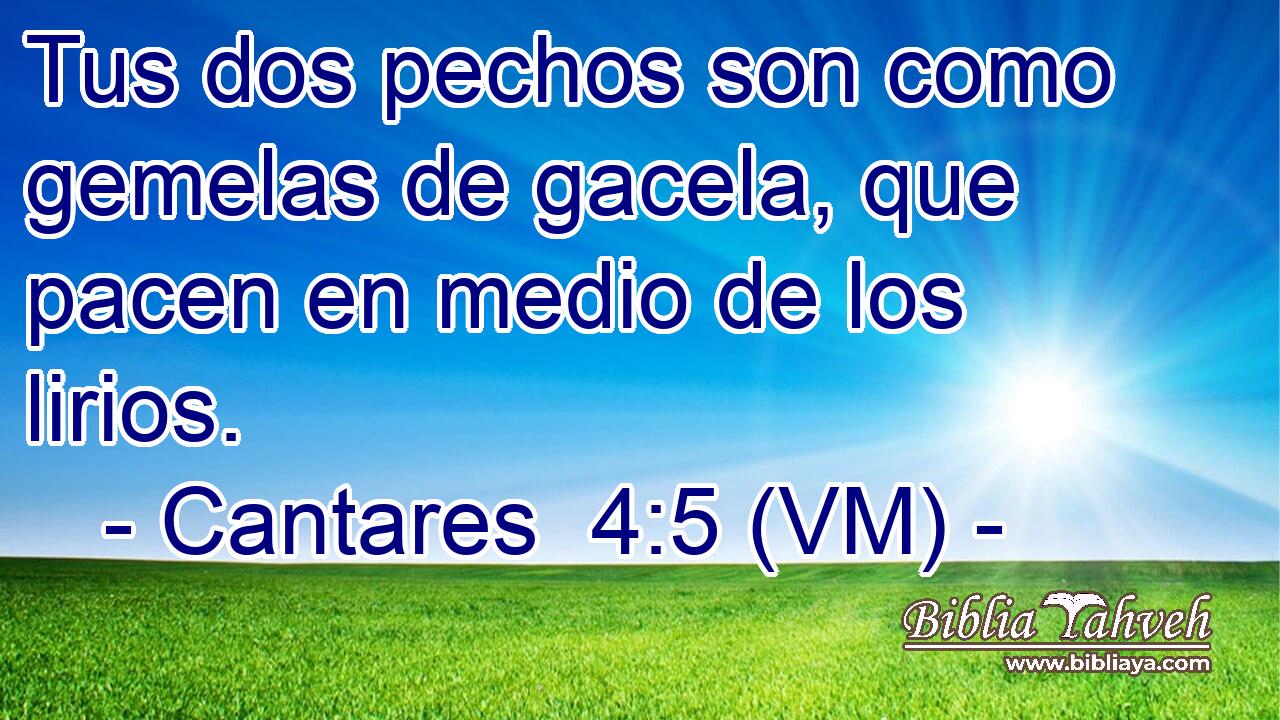  Tus dos pechos son como gemelas de gacela, que pacen en medio de los lirios. 