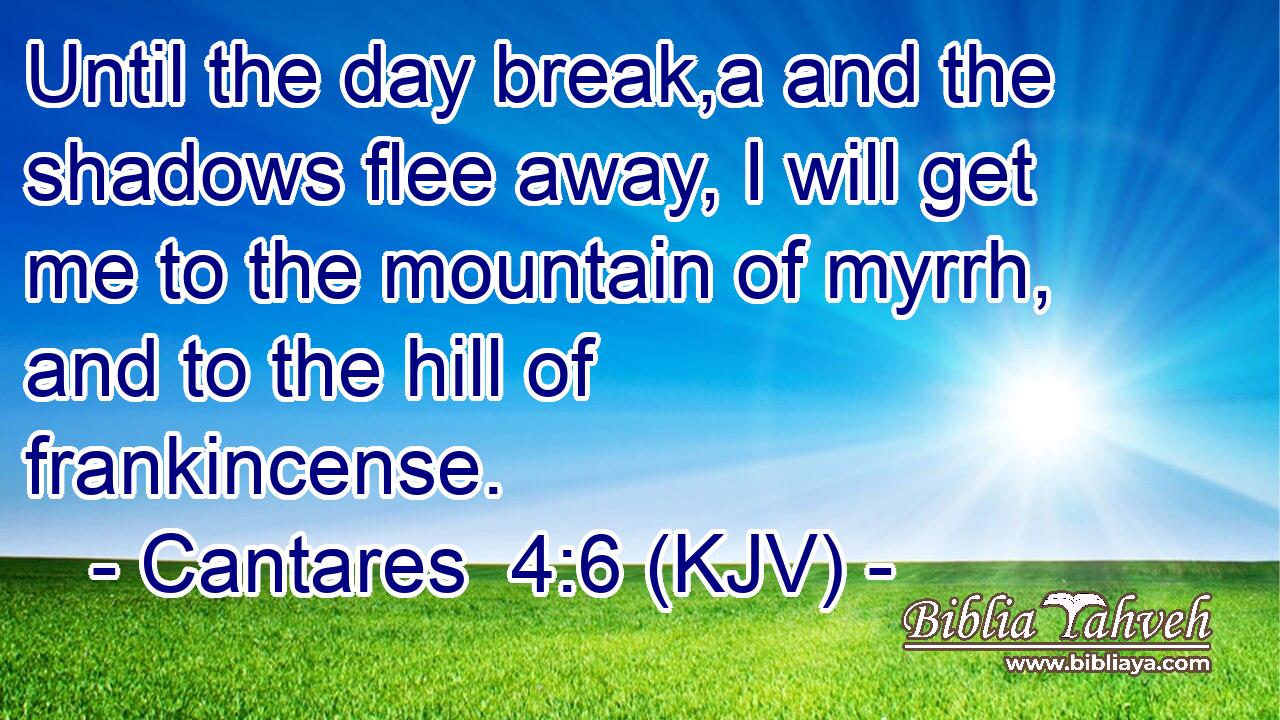 Until the day break,a and the shadows flee away, I will get me to the mountain of myrrh, and to the hill of frankincense.