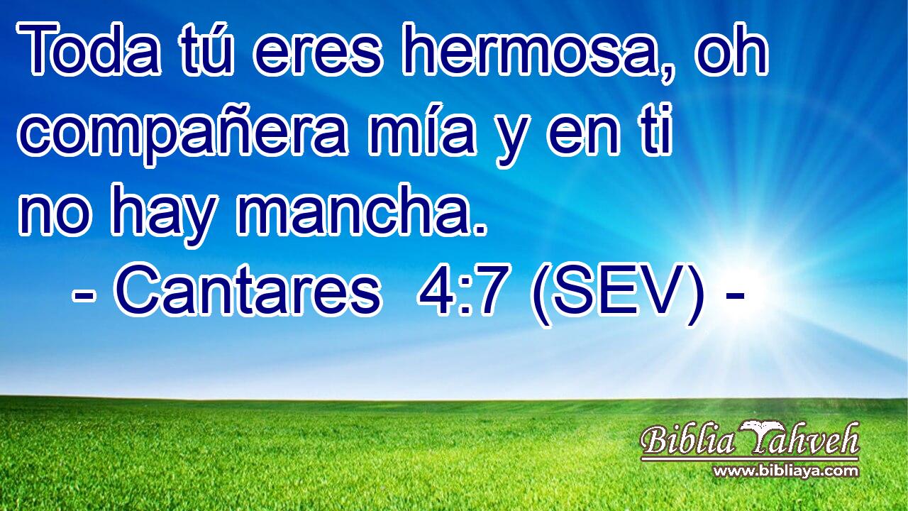 Toda tú eres hermosa, oh compañera mía y en ti no hay mancha.