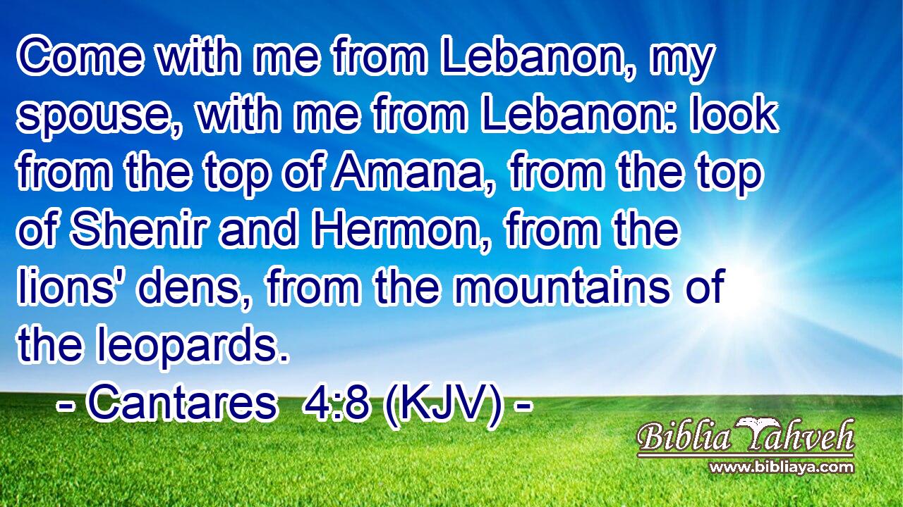 Come with me from Lebanon, my spouse, with me from Lebanon: look from the top of Amana, from the top of Shenir and Hermon, from the lions' dens, from the mountains of the leopards.