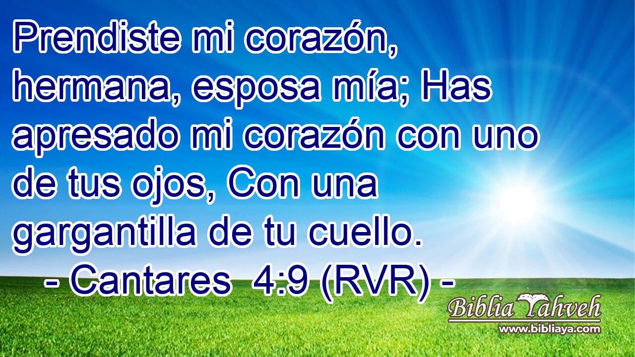 Prendiste mi corazón, hermana, esposa mía; Has apresado mi corazón con uno de tus ojos, Con una gargantilla de tu cuello.