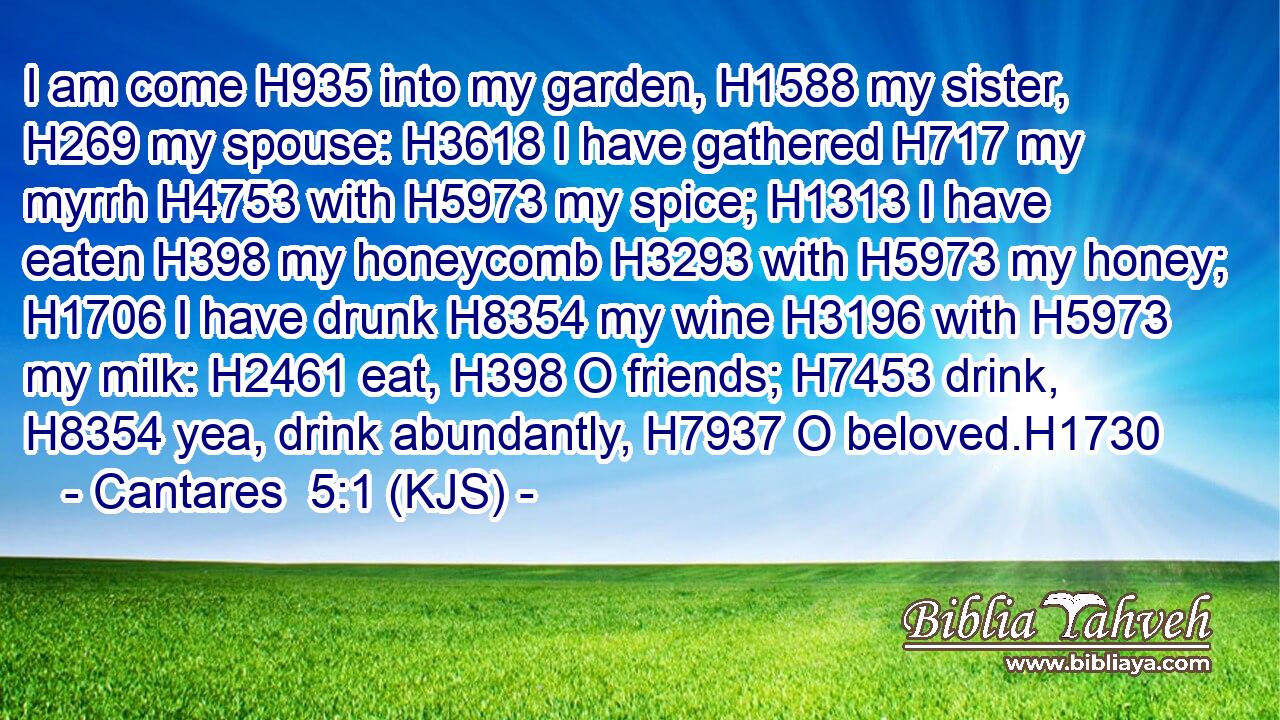 I am come H935 into my garden, H1588 my sister, H269 my spouse: H3618 I have gathered H717 my myrrh H4753 with H5973 my spice; H1313 I have eaten H398 my honeycomb H3293 with H5973 my honey; H1706 I have drunk H8354 my wine H3196 with H5973 my milk: H2461 eat, H398 O friends; H7453 drink, H8354 yea, drink abundantly, H7937 O beloved.H1730