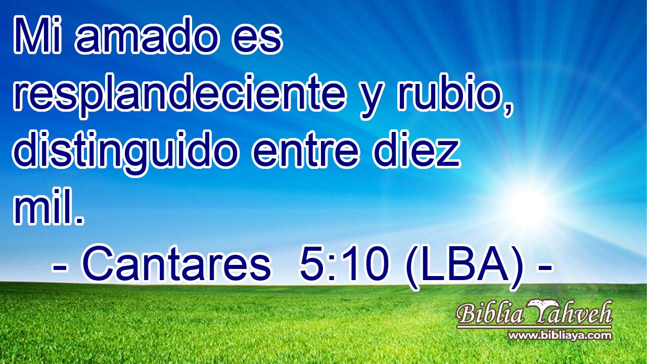 Mi amado es resplandeciente y rubio, distinguido entre diez mil.